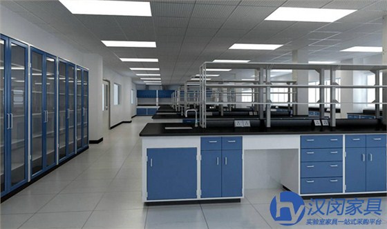上海實驗室家具|專業(yè)實驗室家具廠家