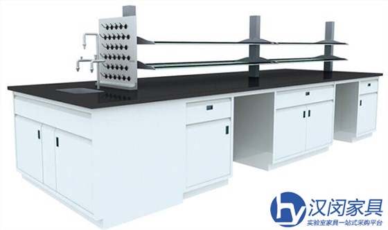 高端實(shí)驗(yàn)室家具|漢閔實(shí)驗(yàn)室設(shè)備廠家