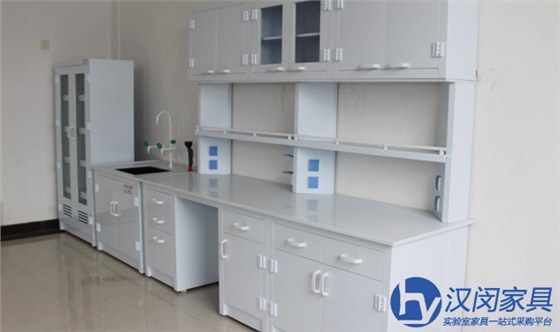 高端實(shí)驗(yàn)室家具|漢閔實(shí)驗(yàn)室家具工廠