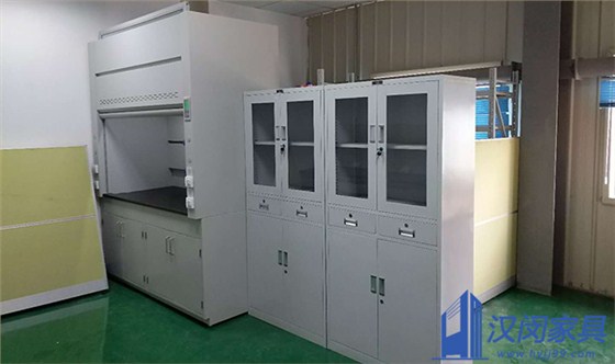 嘉興樂天化學(xué)實驗室家具定制案例|漢閔實驗室家具