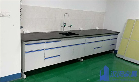 嘉興樂天化學(xué)實驗室家具定制案例|漢閔實驗室家具