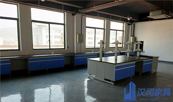 浙江青年優(yōu)品科技股份有限公司余姚分公司實(shí)驗(yàn)室家具定制案例|漢閔實(shí)驗(yàn)室家具