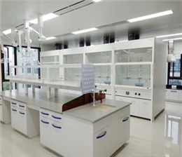全鋼化驗室通風櫥實驗室抽風柜