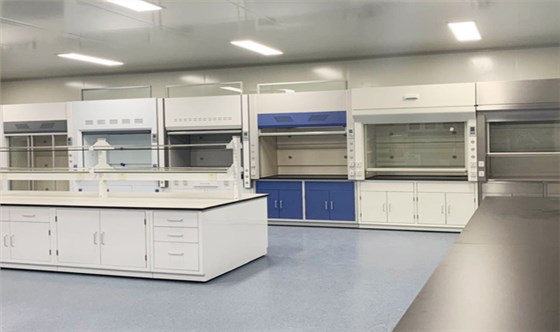 上海全鋼通風(fēng)柜實驗室家具廠家