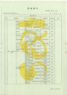 檢測報告