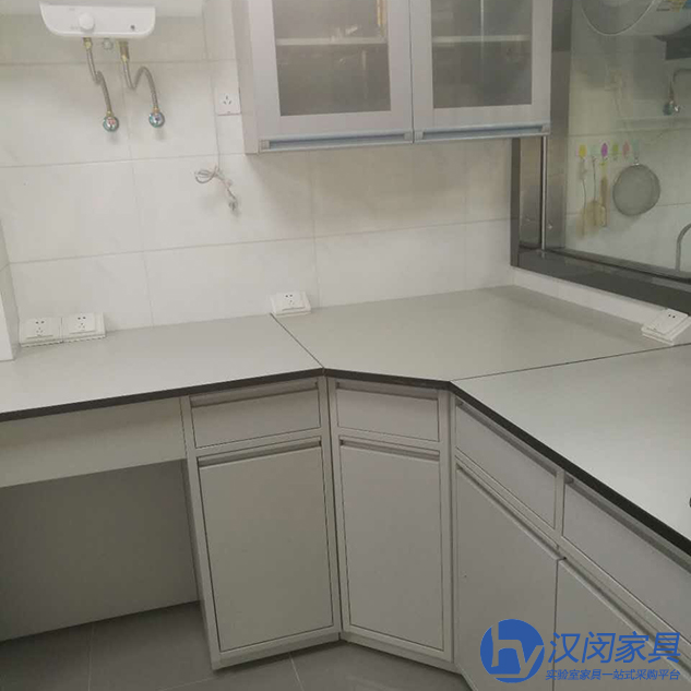 實(shí)驗(yàn)室設(shè)備|漢閔實(shí)驗(yàn)室家具廠家