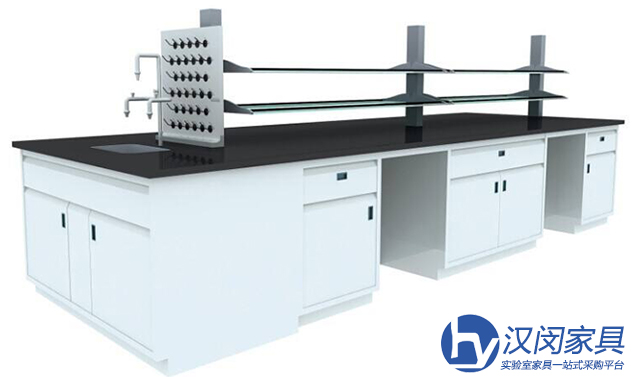 高端實(shí)驗(yàn)室家具|漢閔實(shí)驗(yàn)室設(shè)備廠家