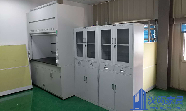 嘉興樂天化學(xué)實(shí)驗(yàn)室家具定制案例